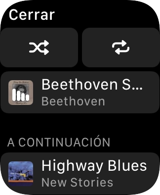 Pulsa el icono de reproducción aleatoria para activar o desactivar la función.