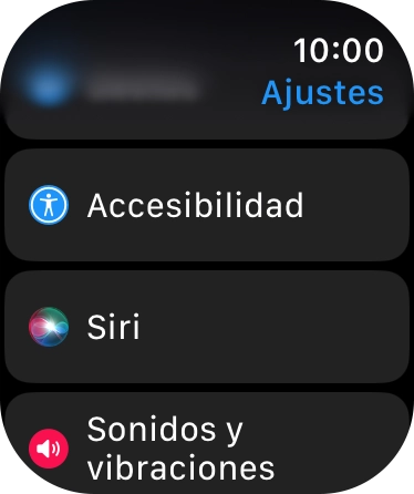 Pulsa Accesibilidad.