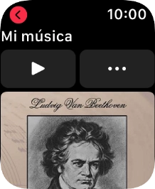 Pulsa el icono de reproducción para iniciar la reproducción.