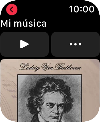 Pulsa el icono de reproducción para iniciar la reproducción.