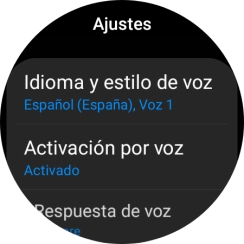 Pulsa Idioma y estilo de voz.
