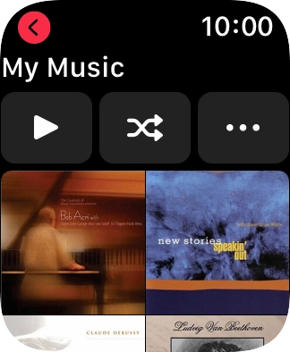 Pulsa el icono de reproducción para iniciar la reproducción.