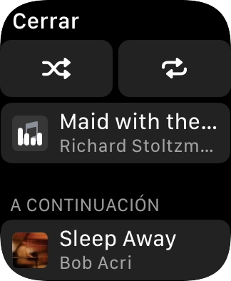 Pulsa el icono de reproducción aleatoria.