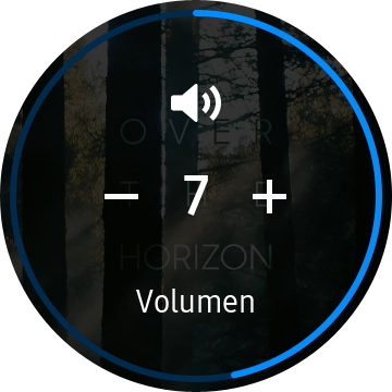 Pulsa los iconos de volumen para seleccionar el volumen deseado.