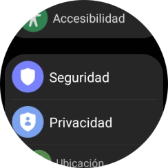 Pulsa Seguridad.