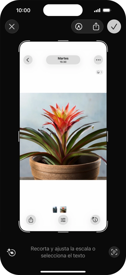 Para utilizar la inteligencia visual mediante un pantallazo, haz un pantallazo y sigue las indicaciones de la pantalla para utilizar la función.