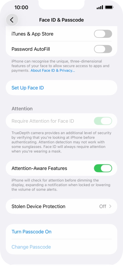 Press Turn Passcode On and key in a phone lock code of your own choice twice.
