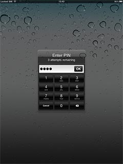 Key in your PIN and press OK.
