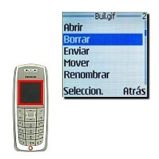 Vaya a Borrar y pulse Seleccion..