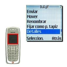 Elija Detalles y pulse Seleccion..La pantalla muestra los detalles del archivo.