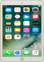 Apple iPad Air 2