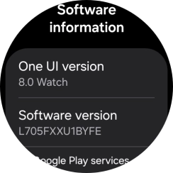 The software version of your smartwatch is displayed below Software version.