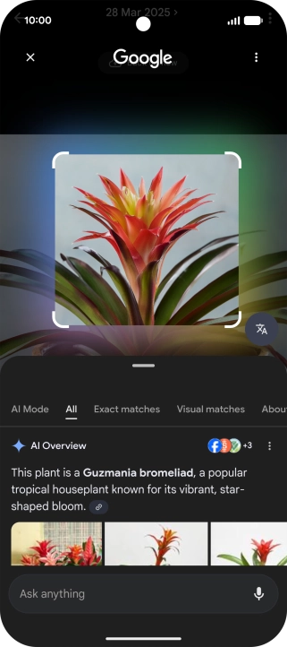 Follow the instructions on the screen to use the search results.