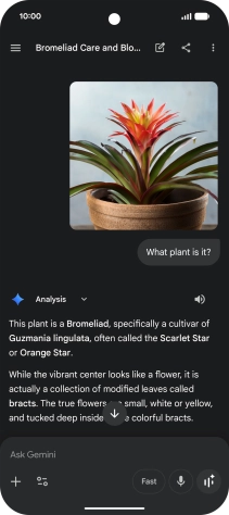 Follow the instructions on the screen to type or speak the required question. You can also attach pictures or documents and ask questions to them.