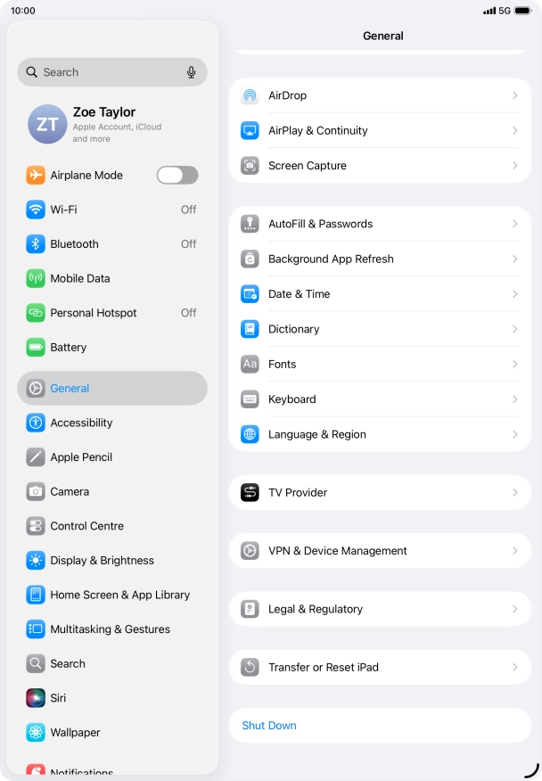 Press Transfer or Reset iPad.