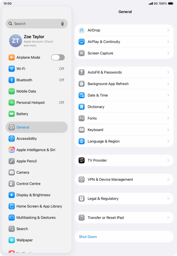 Press Transfer or Reset iPad.