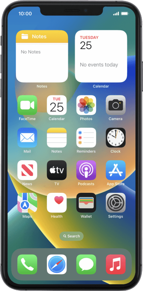 Apple iPhone Xs Max