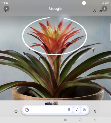 Rodea con un círculo el elemento deseado de la fotografía y espera a que aparezcan los resultados de búsqueda.