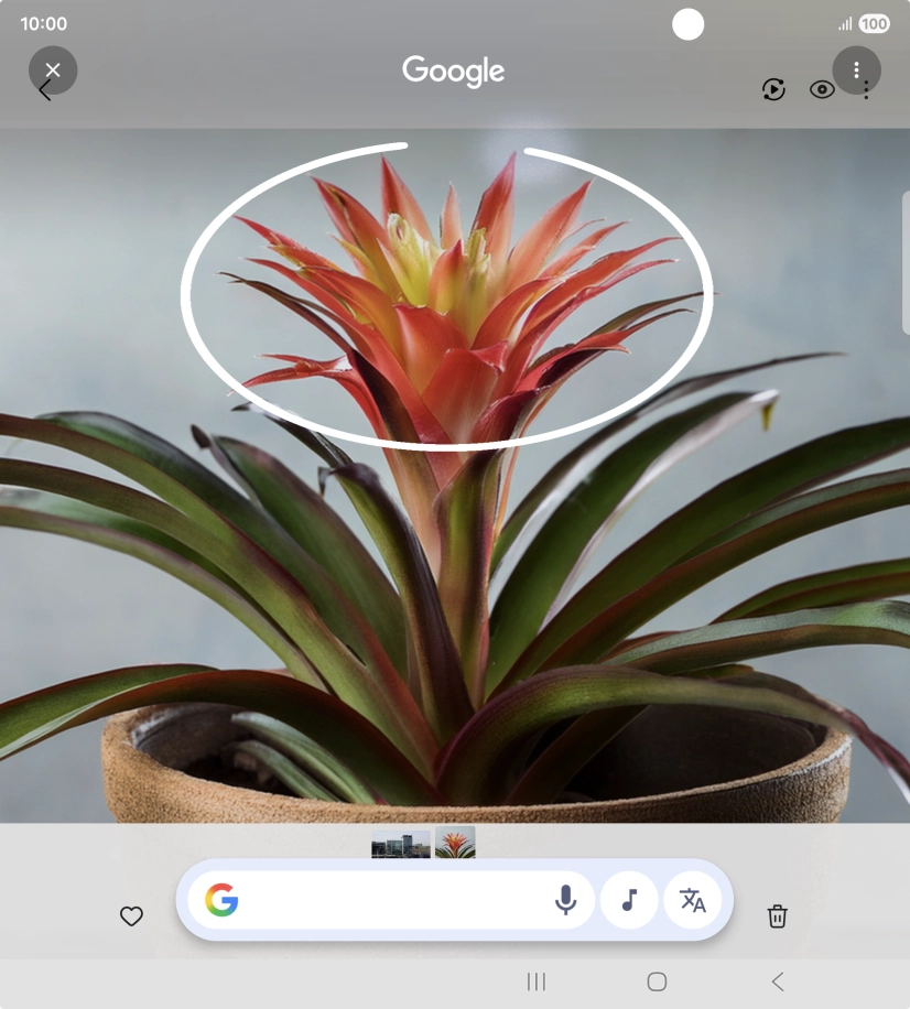 Rodea con un círculo el elemento deseado de la fotografía y espera a que aparezcan los resultados de búsqueda.