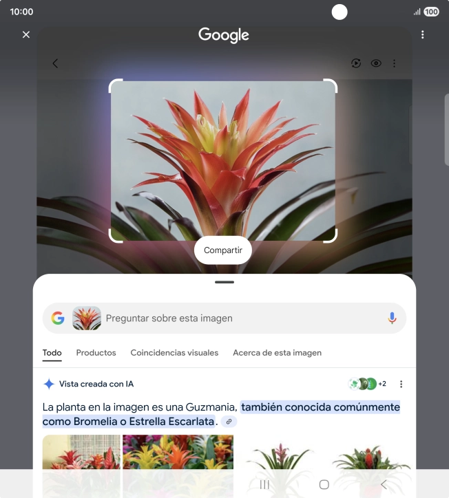 Sigue las indicaciones de la pantalla para utilizar los resultados de búsqueda.