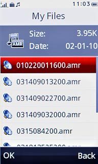 Press the required audio file.
