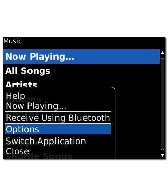 Highlight Options and press the Navigation key.