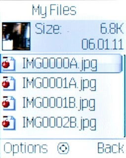Go to the required folder.Highlight the required file and press Options.