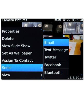 Press one of the following options:Email, go to 3a.