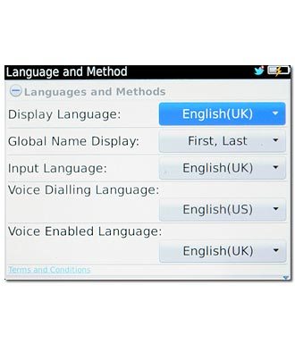 Press Display Language.