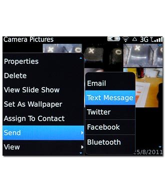 Text Message, go to 3b.