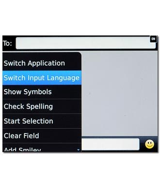 Scroll to Switch Input Language and press the Navigation key.