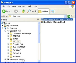 Highlight the required file and move or copy it to your device.