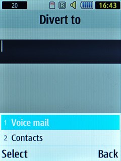 Scroll to Voice mail and press the Navigation key.
