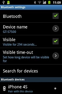 When the box next to the menu item is ticked (V), Bluetooth visibility is turned on.