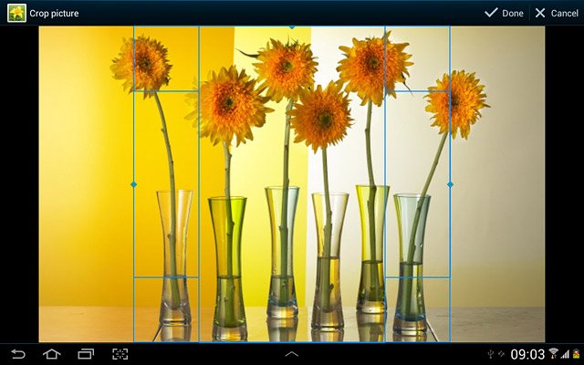 Drag the frame to the required position to select the required detail.