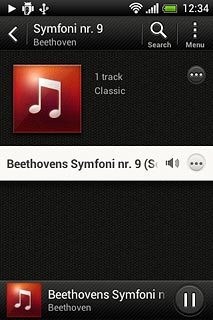 Press the required audio file or the required playlist.