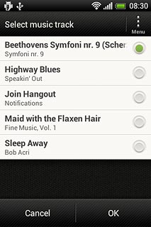 When the field next to the audio file is marked, it's selected.