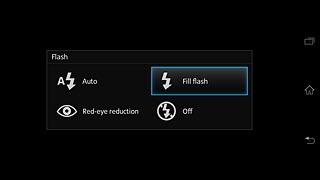 Press Fill flash.