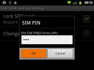 Key in your current PIN and press OK.