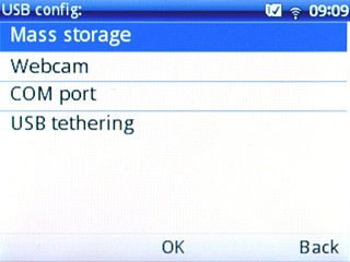 Scroll to Mass storage and press the Navigation key.