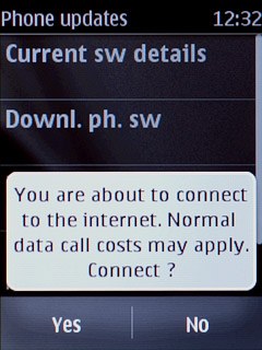 Press Yes to confirm.Follow the instructions on the display to update your phone's software.
