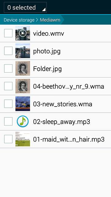 Press the box next to the required file.
