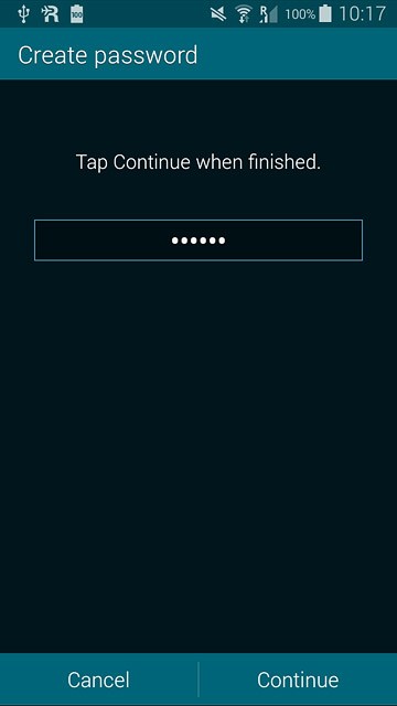 Key in a password and press Continue.