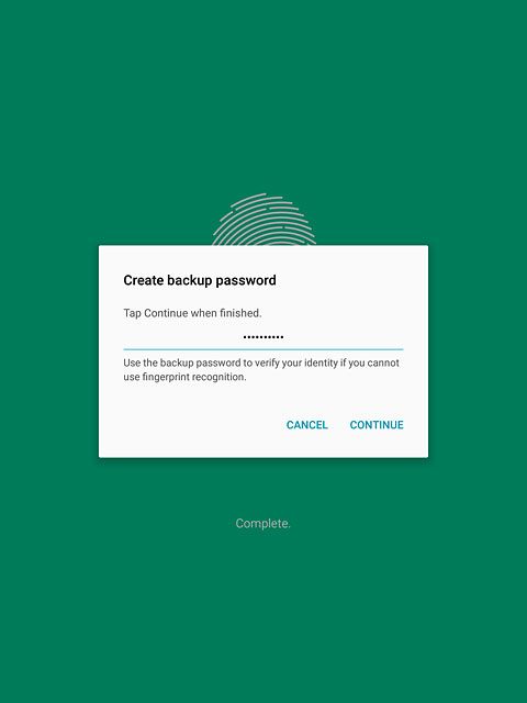 Key in a password and press CONTINUE.