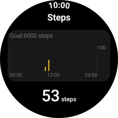 The number of steps for the day is displayed below Steps.