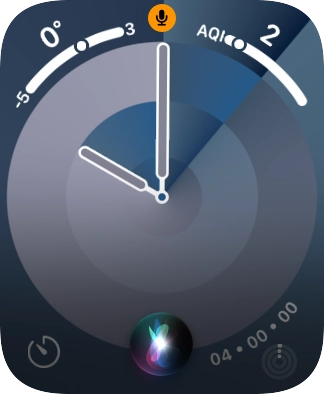 Say, in your own words, what you would like your Apple Watch to do.