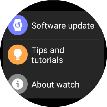 Press Software update.