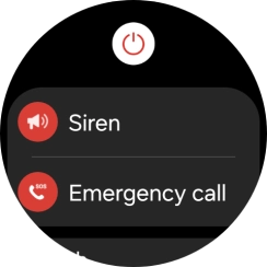 Press Siren and follow the instructions on the screen to start and stop the siren.
