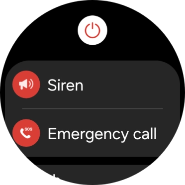 Press Siren and follow the instructions on the screen to start and stop the siren.