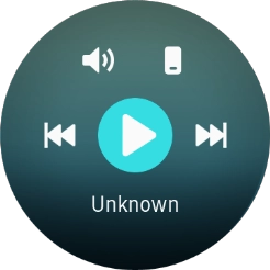 Press the storage device icon to select audio file playback from your smartwatch or your phone.